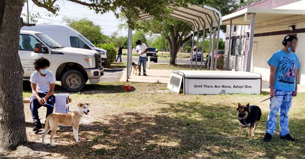 Youth helping out the Harlingen Humane Society.
